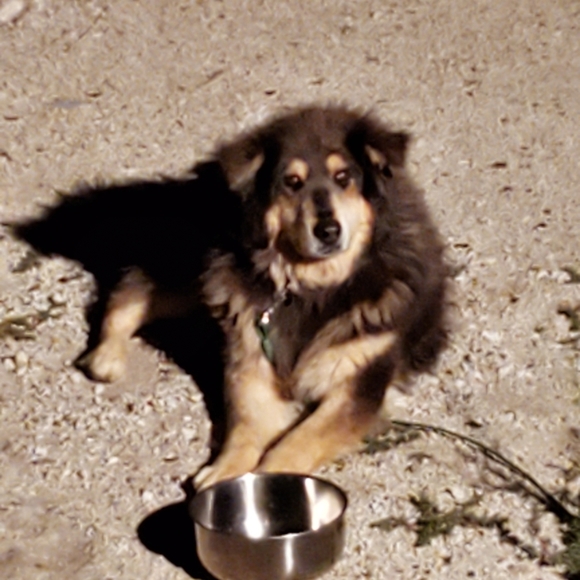 Like this to bookmark! ♥️ - Picture 5 of 7